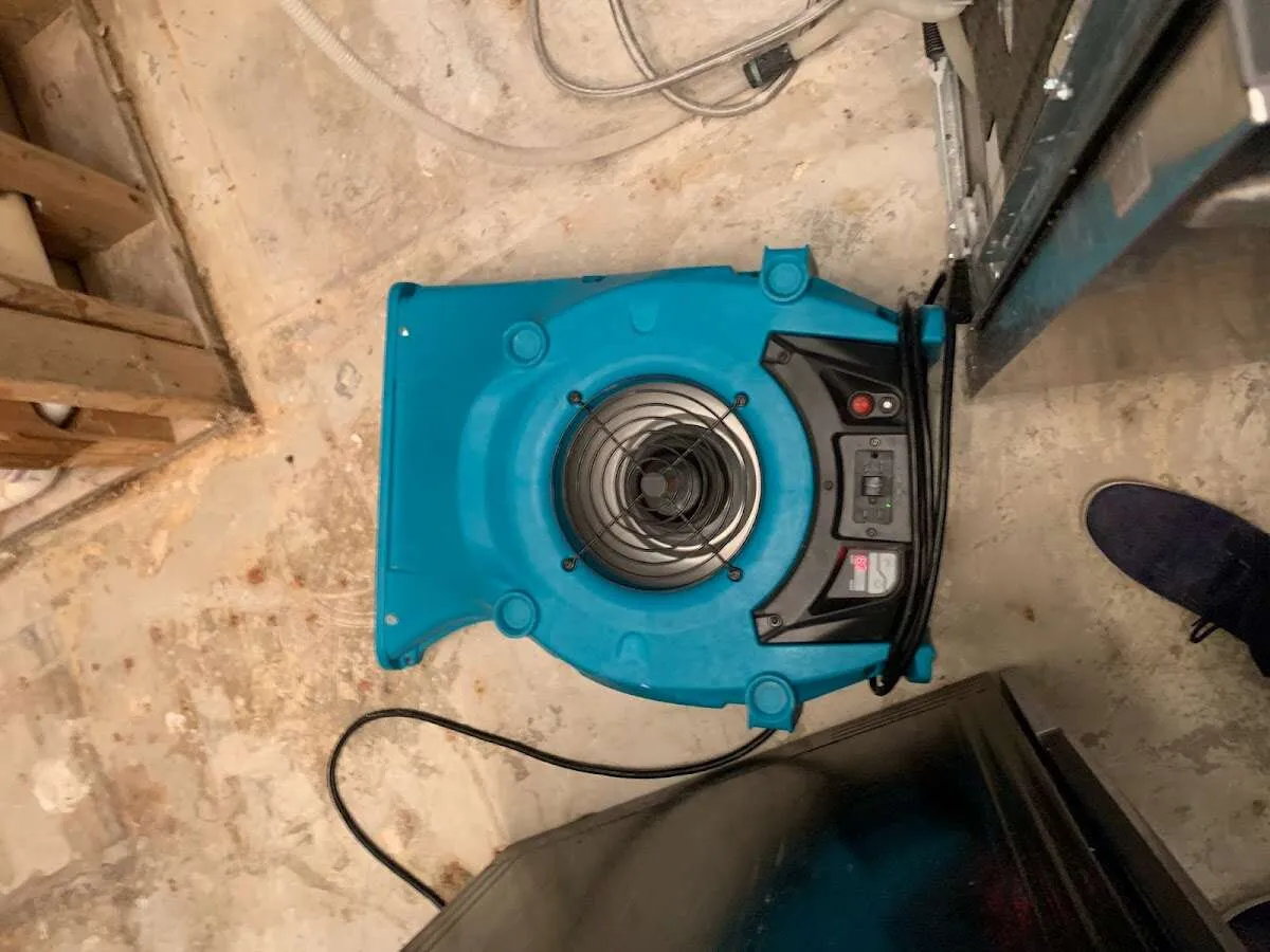 Air mover drying equipment for Mold Remediation & Removal in Chanceford